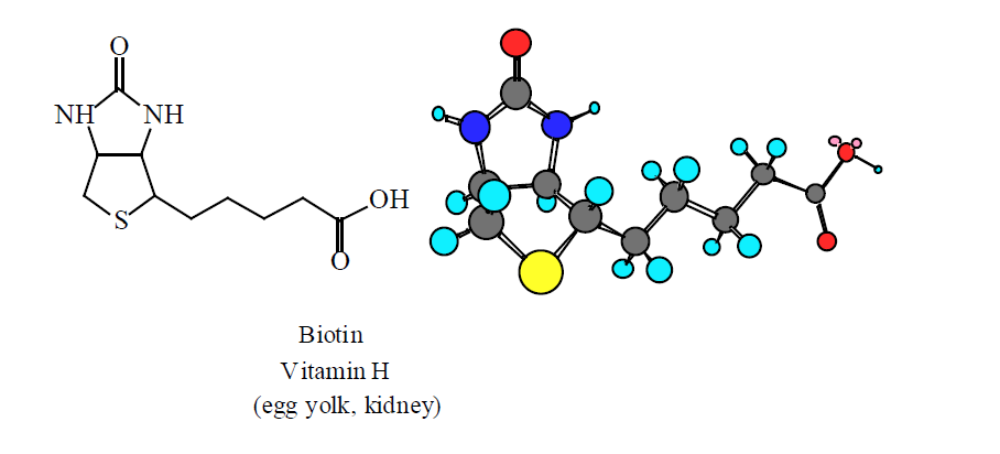 ویتامین H